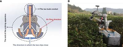 Design of an efficient combined multipoint picking scheme for tea buds